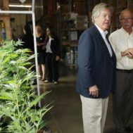 Meet the Nevada Politician with a Pot Strain Named After Him