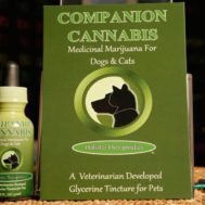 Pets Could Soon Use Medical Marijuana
